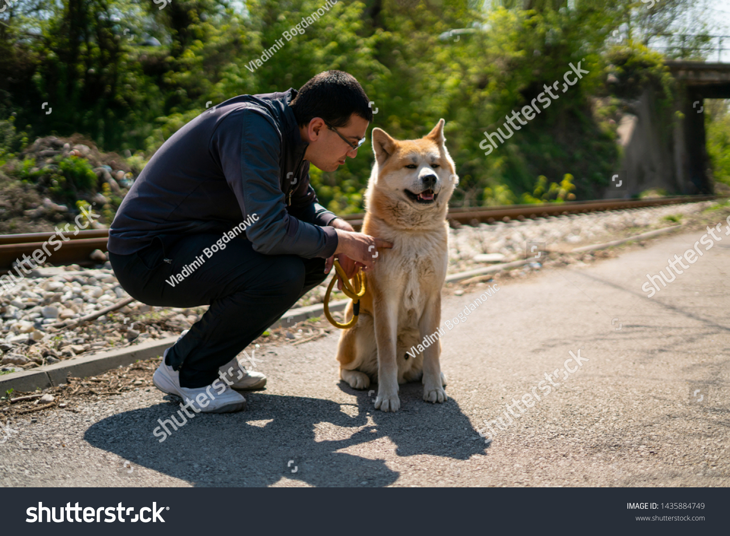 dog man akita