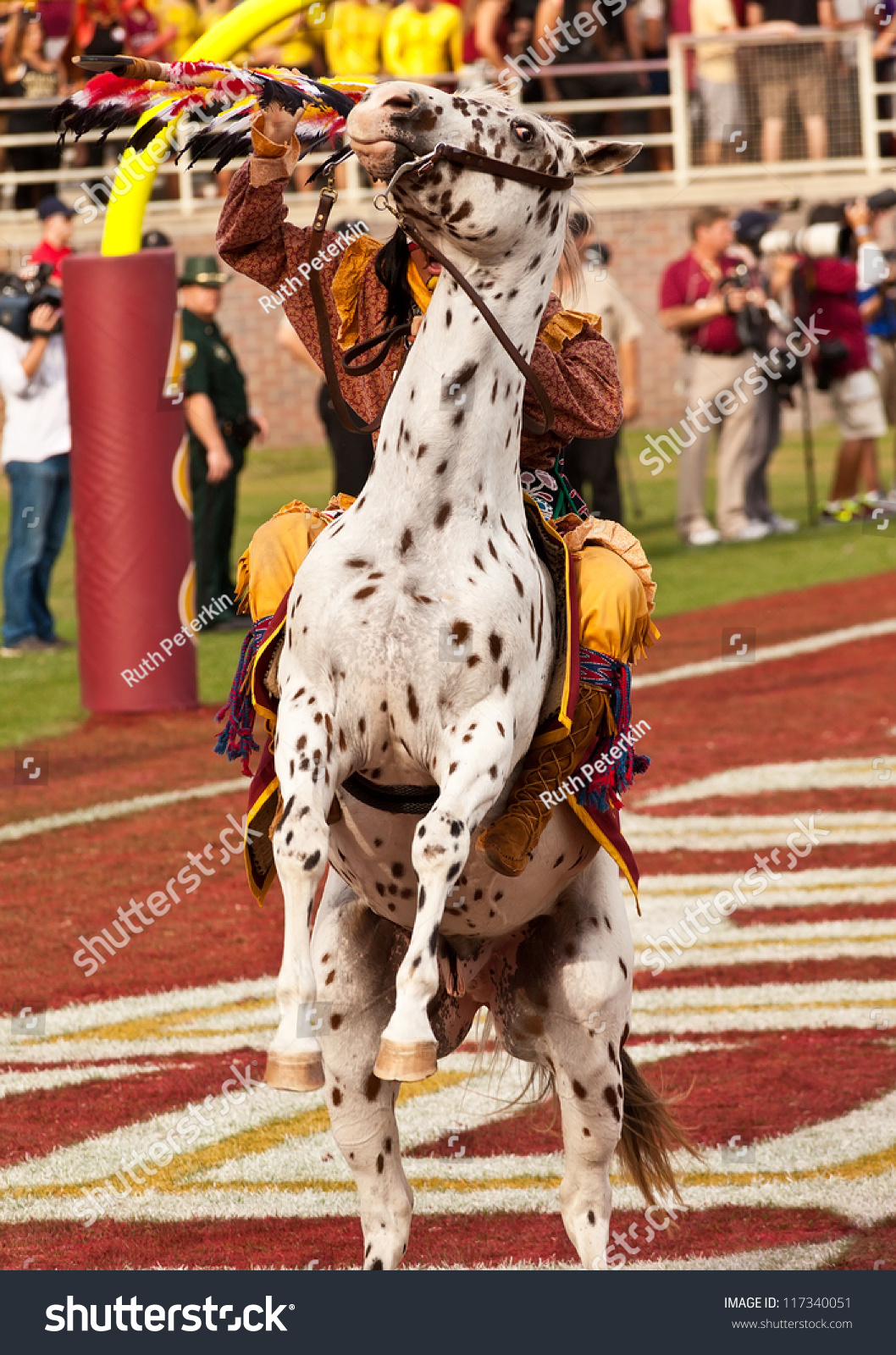 Tallahassee, Fl - Oct. 27: Fsu Mascot, Chief Osceola, Commands His ...