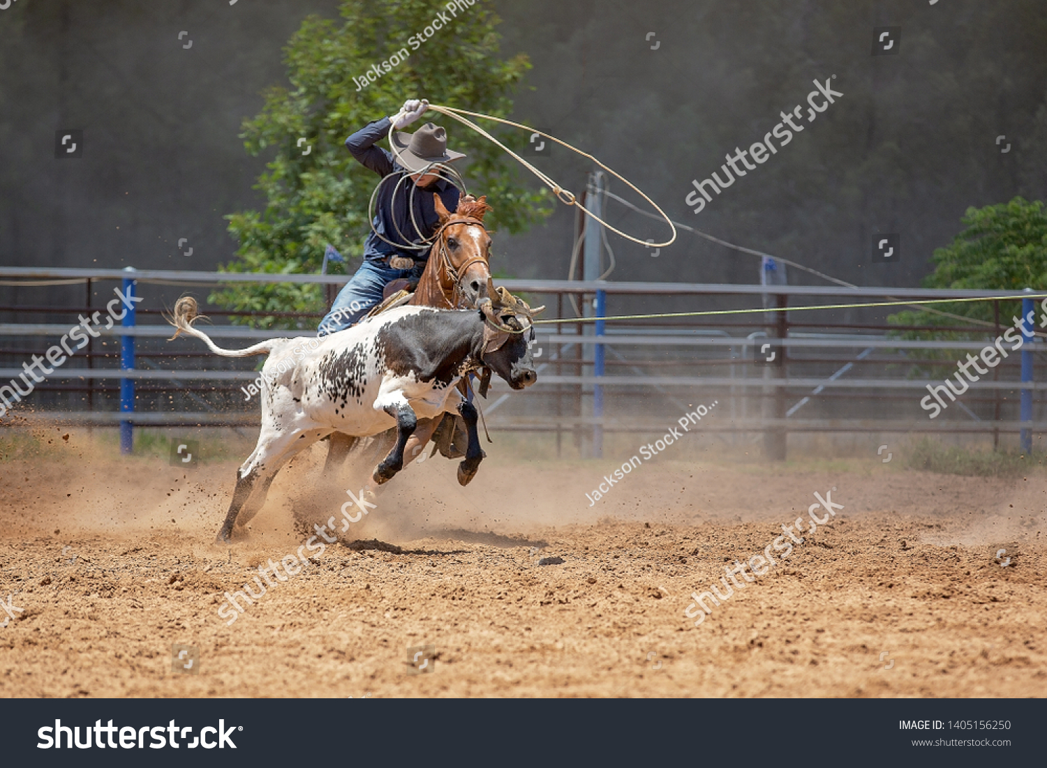 Calf roping Images Stock Photos Vectors Shutterstock Calf roping Images Stock Photos Vectors Shutterstock