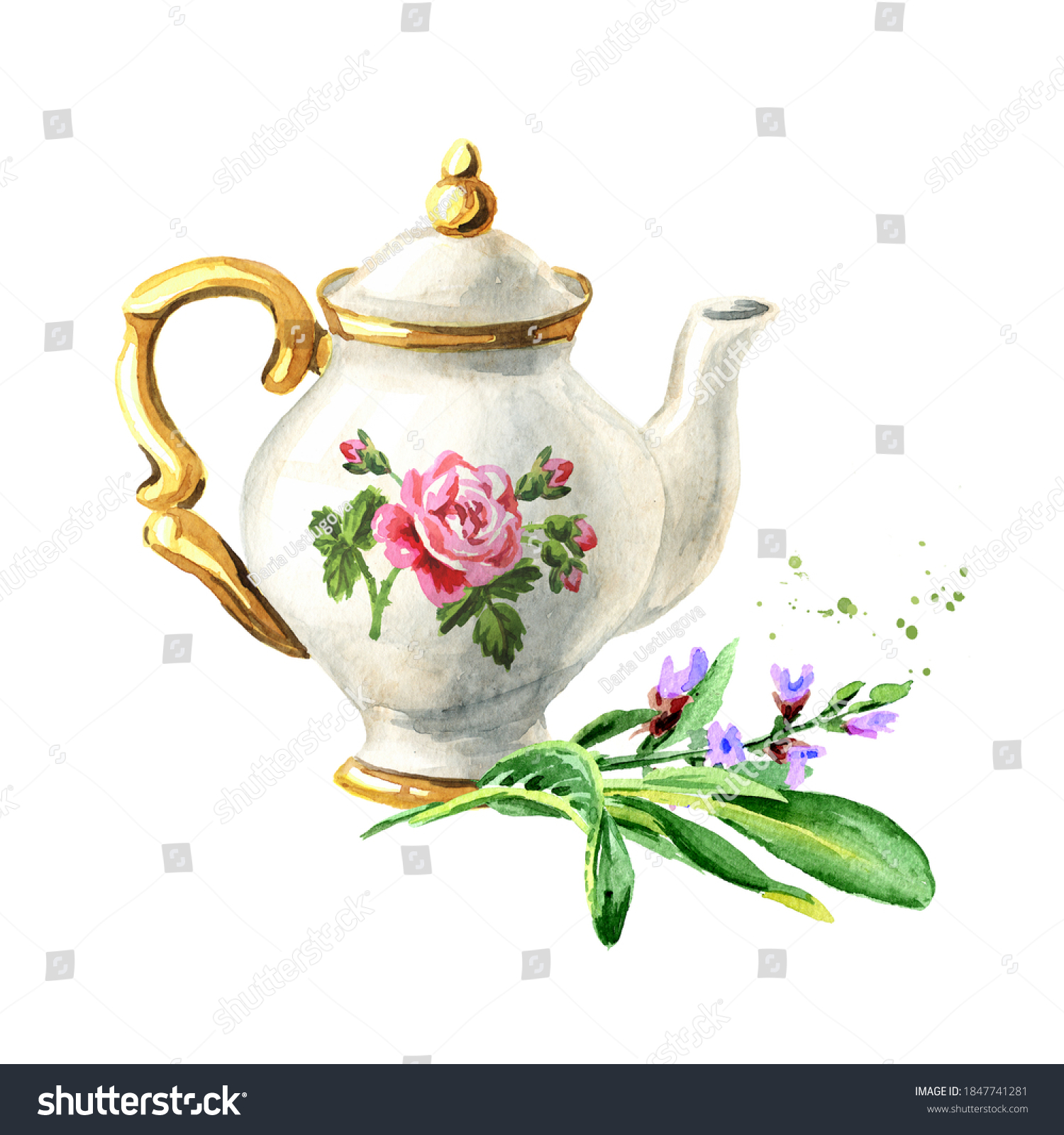 Teapot Sage Hand Drawn Watercolor Illustration Stock Illustration ...