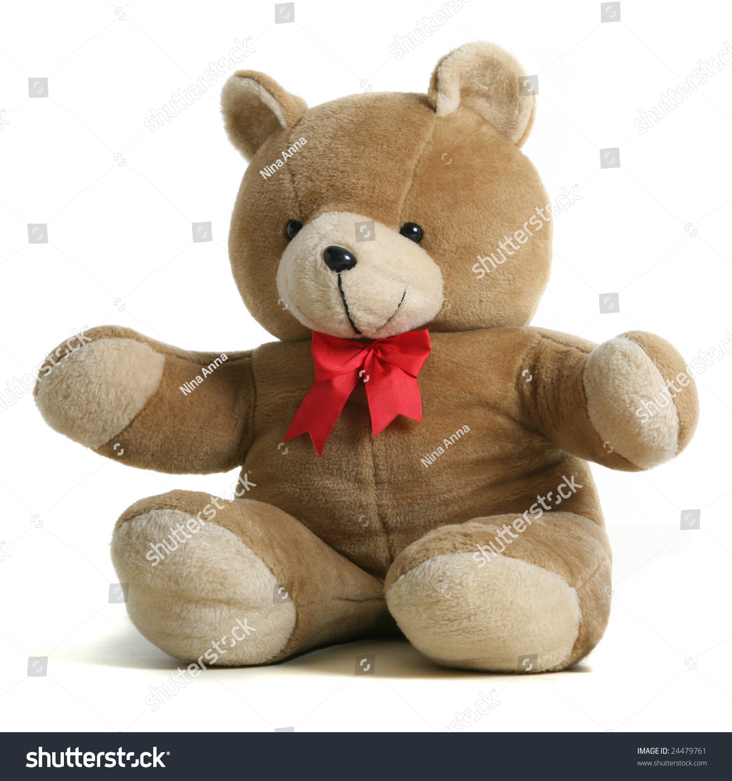 Teddy Bear Stock Photo 24479761 : Shutterstock