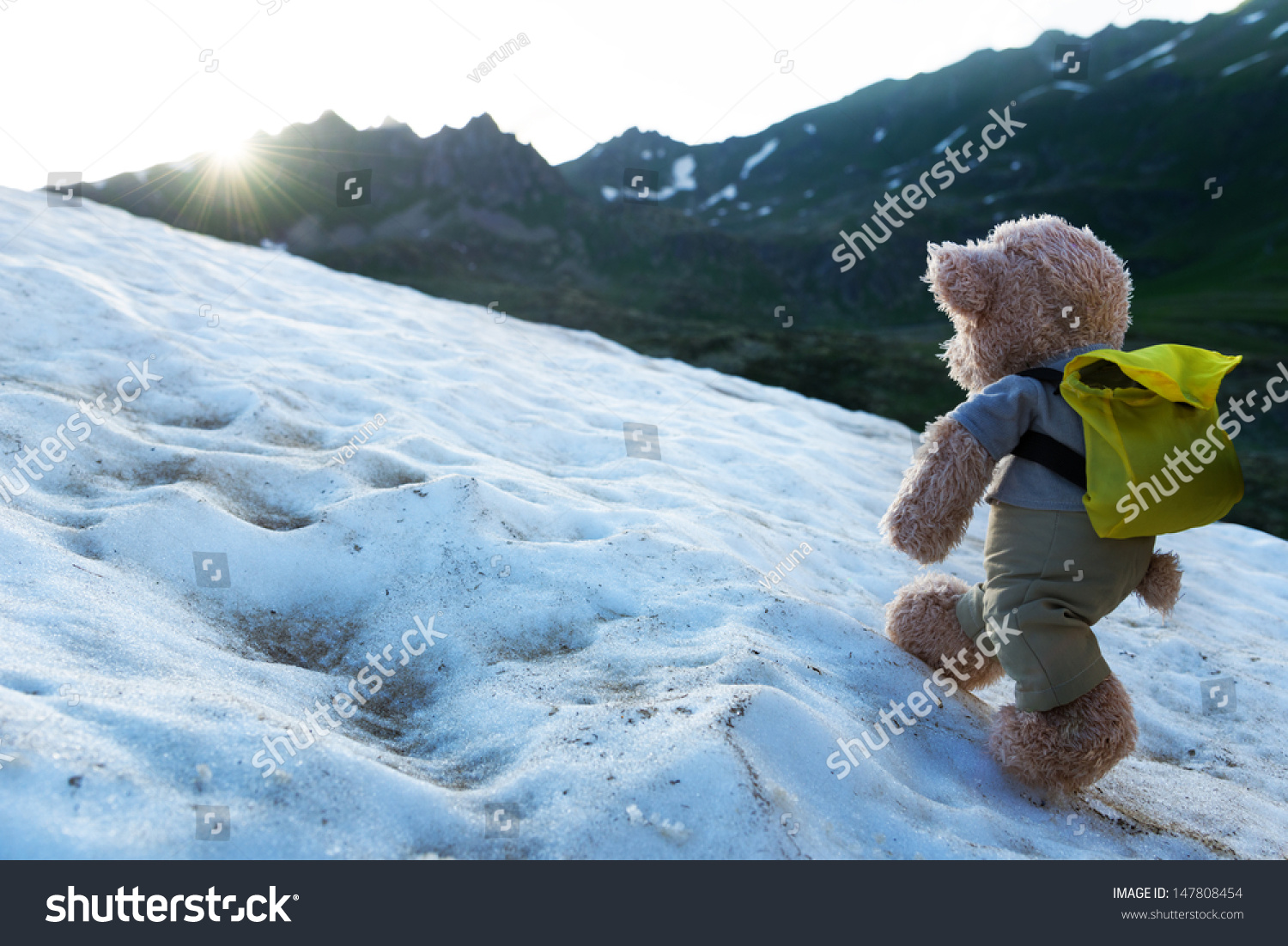 park holidays teddy bear mountain