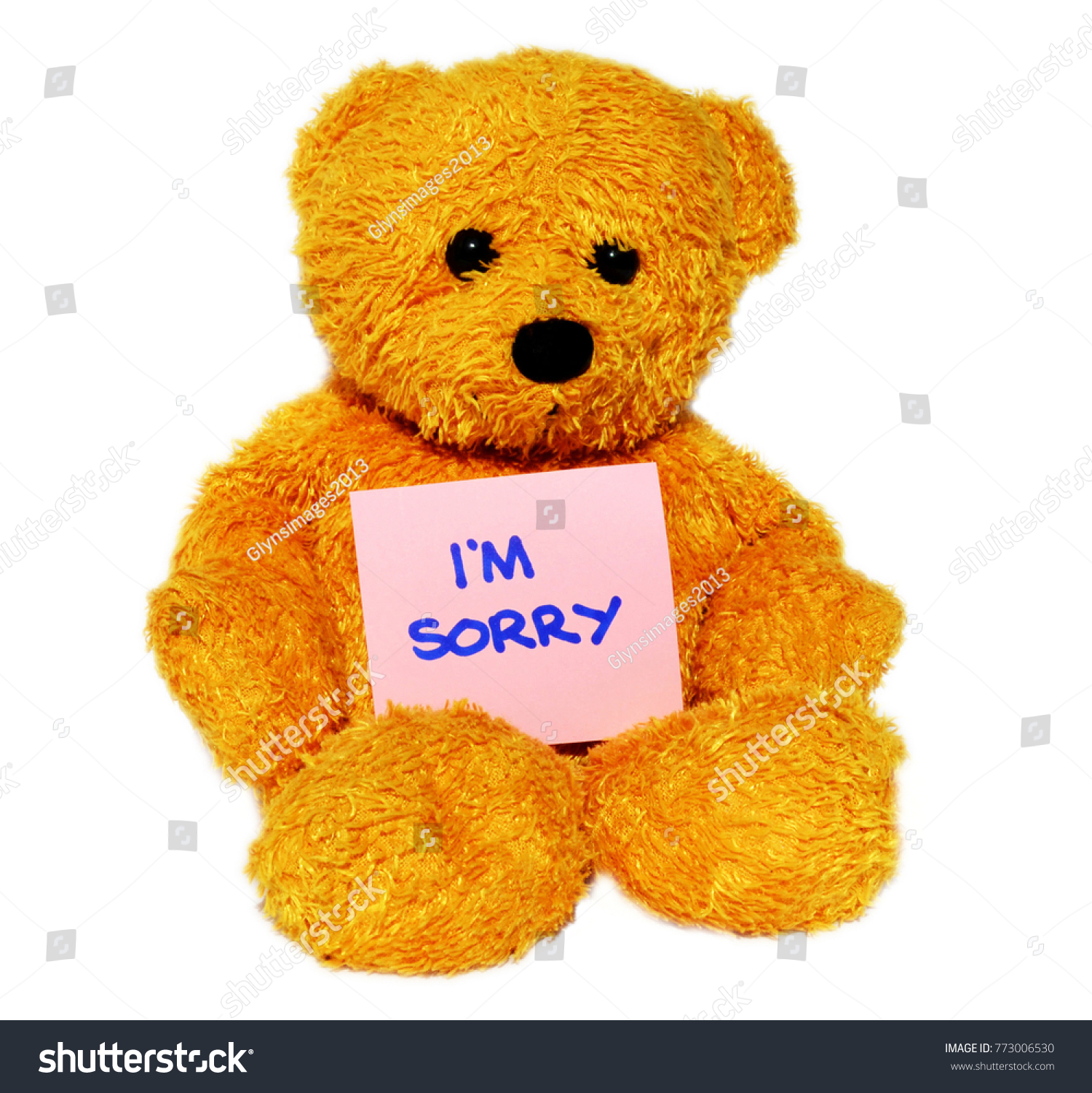 im sorry teddy bear