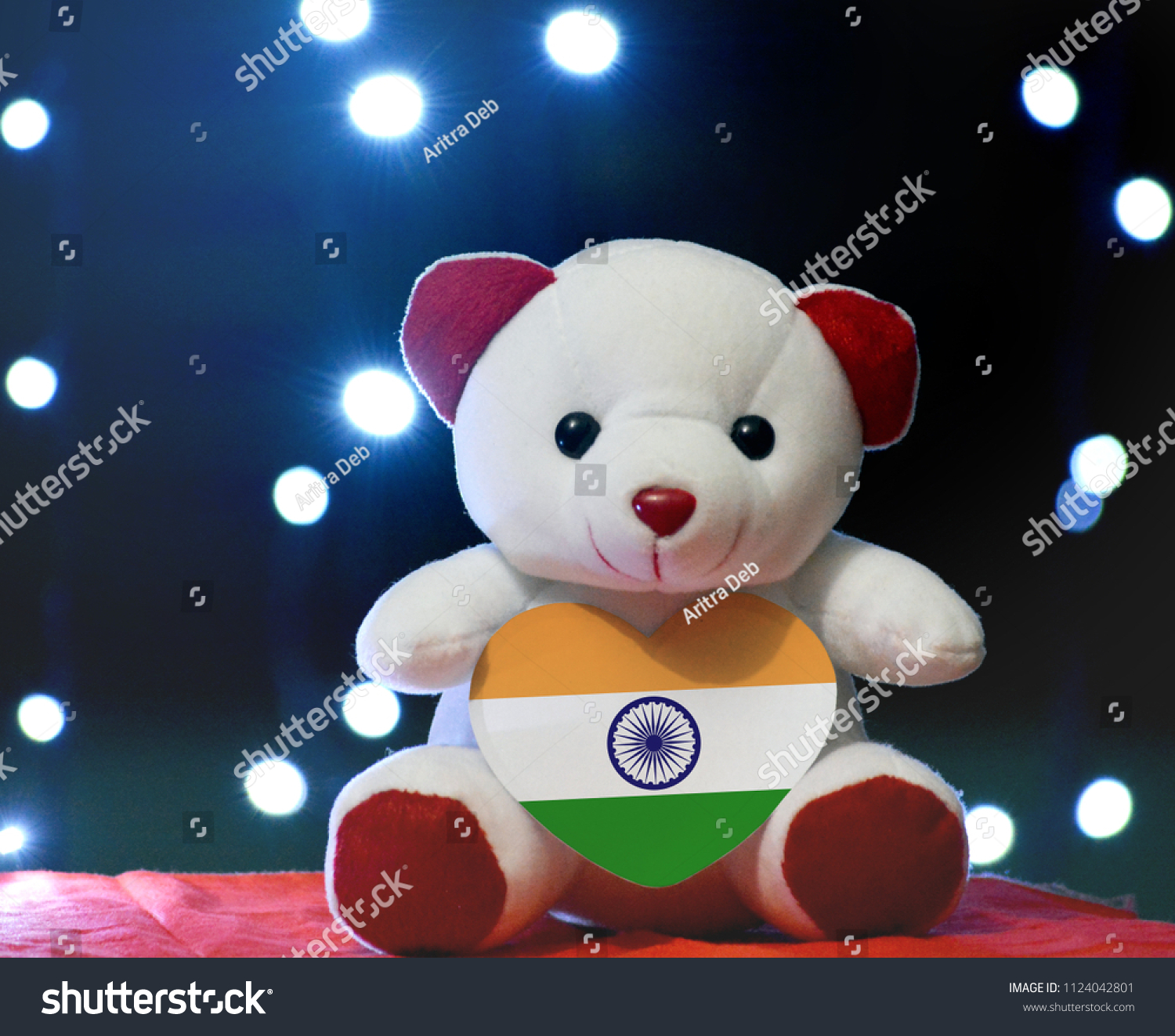 indian teddy bear