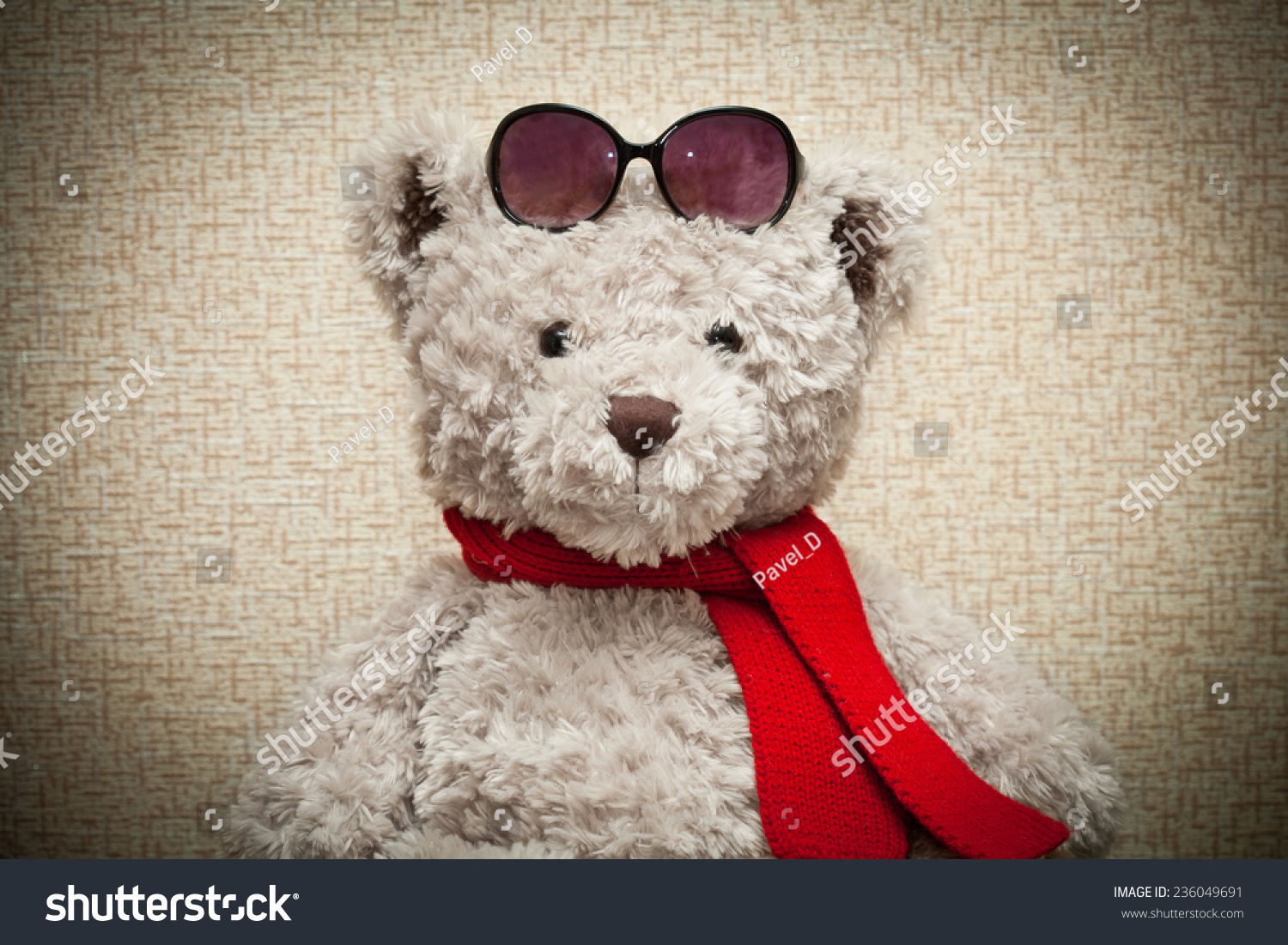 teddy bear sunglasses