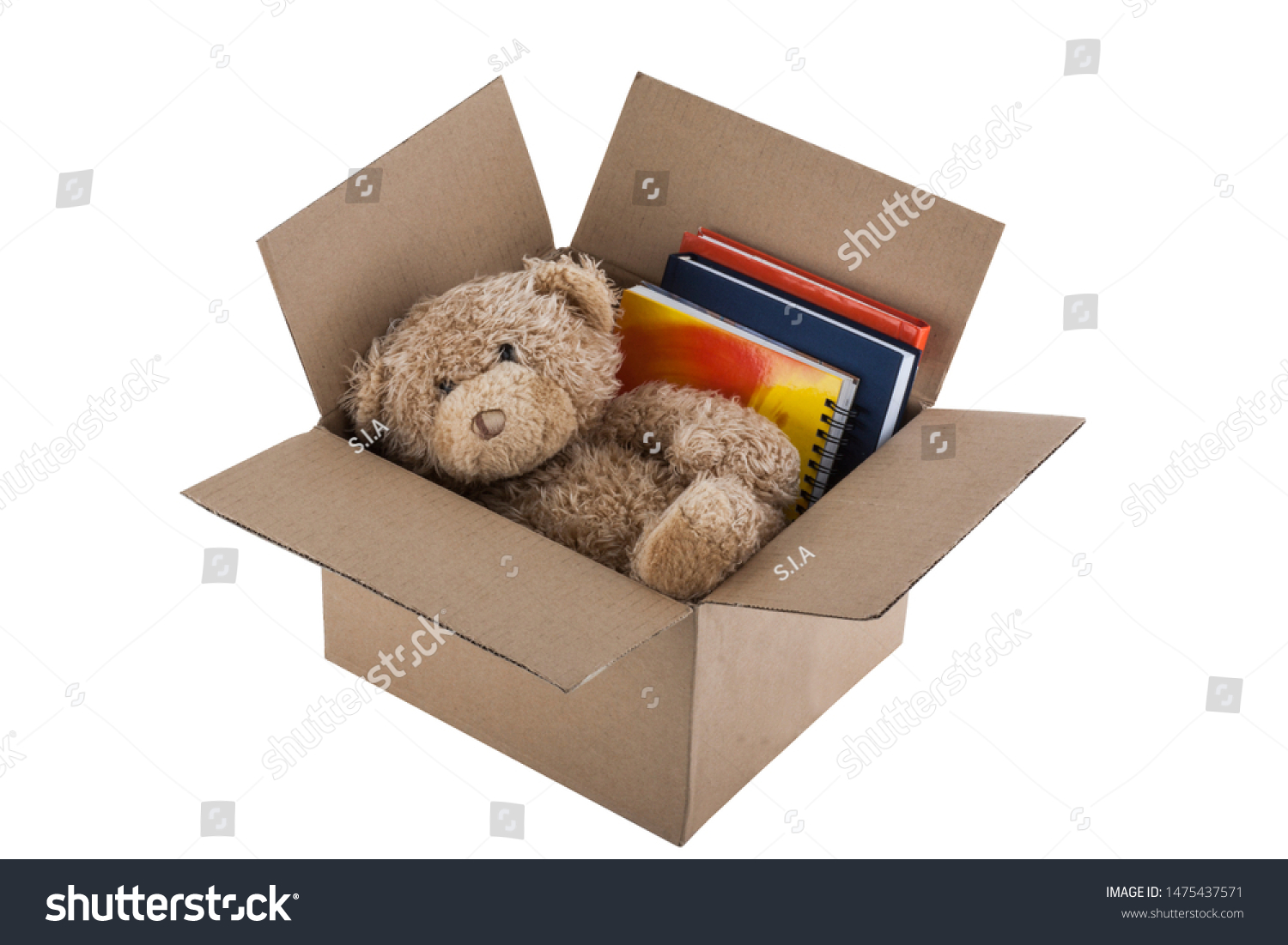 teddy bear in box