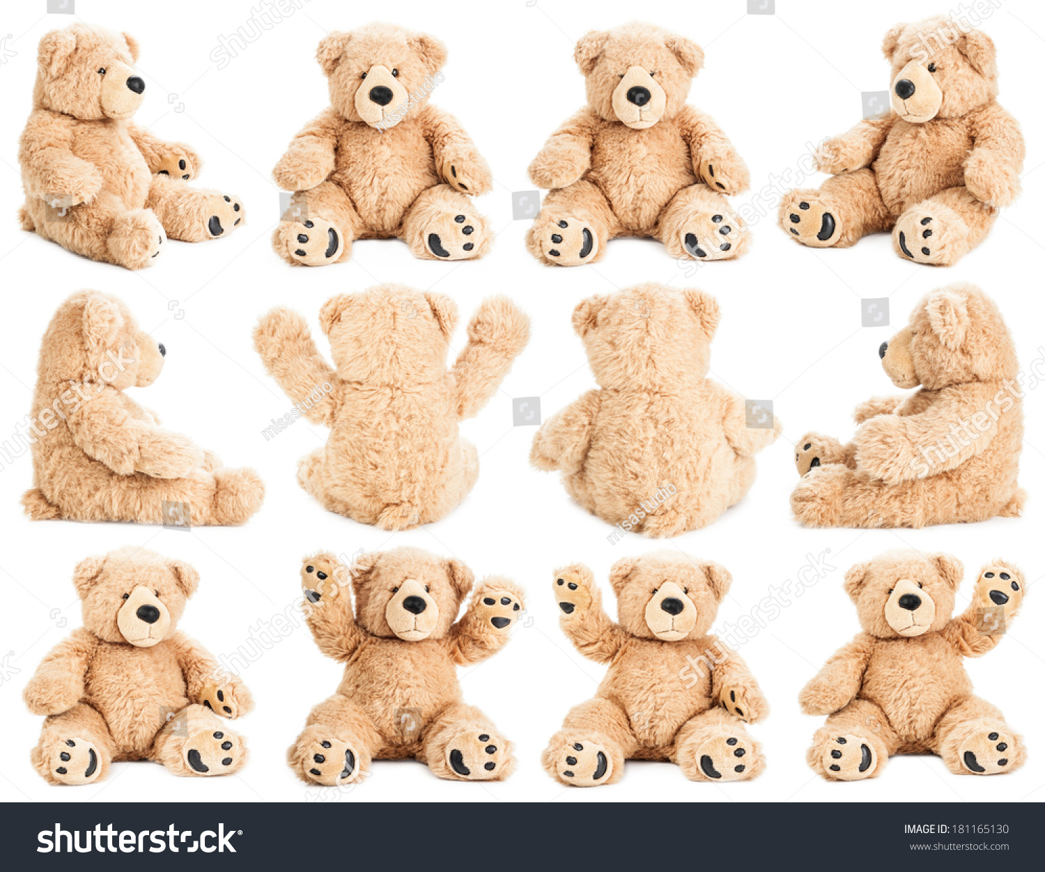 teddy bear in different colours