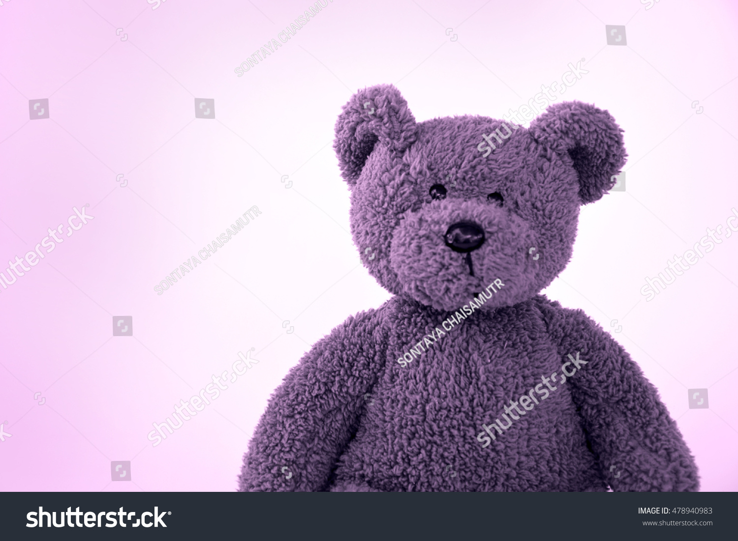 teddy bear violet color