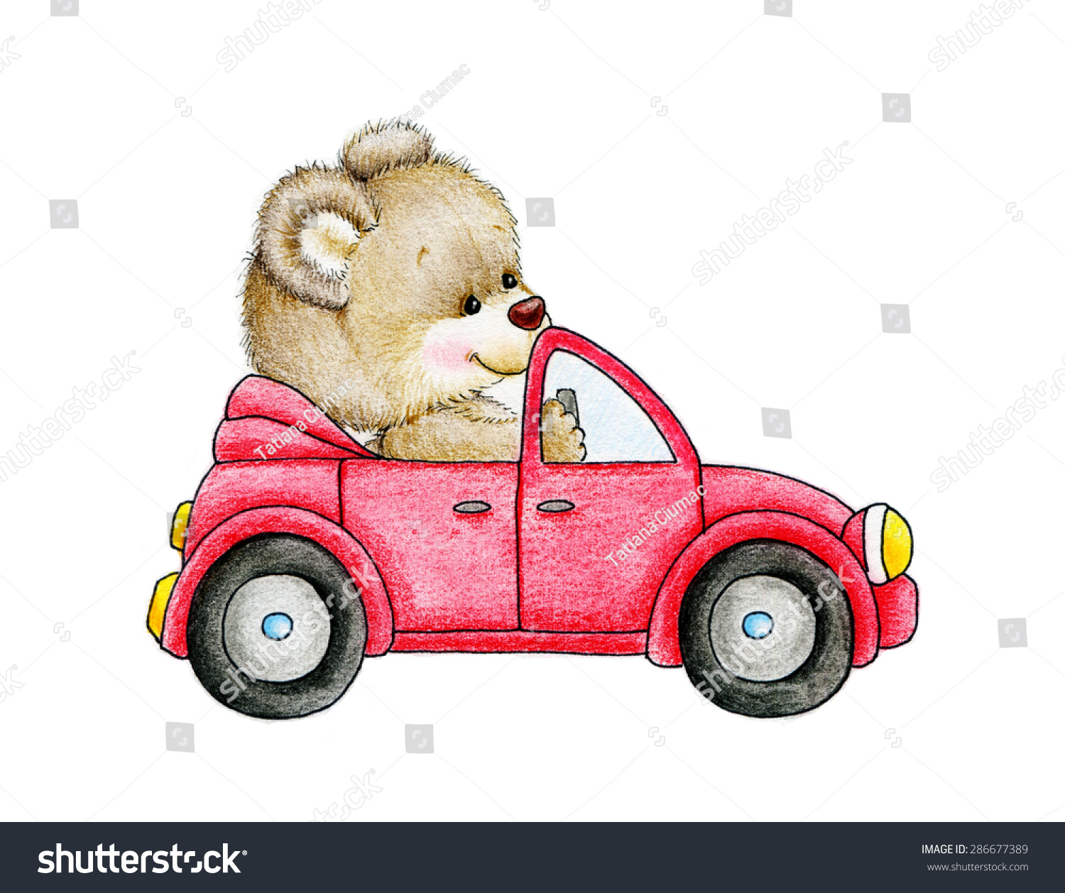 teddy car