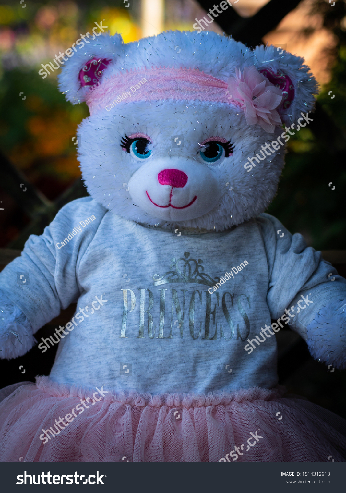 princess teddy