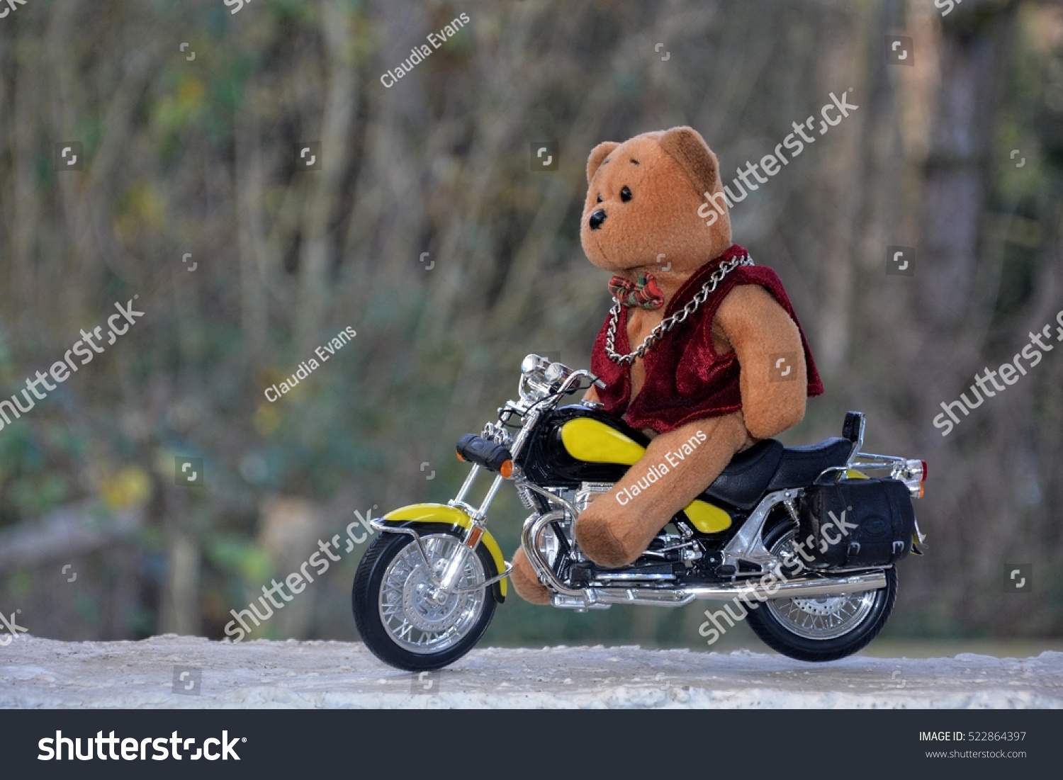 teddy bear on motorcycle