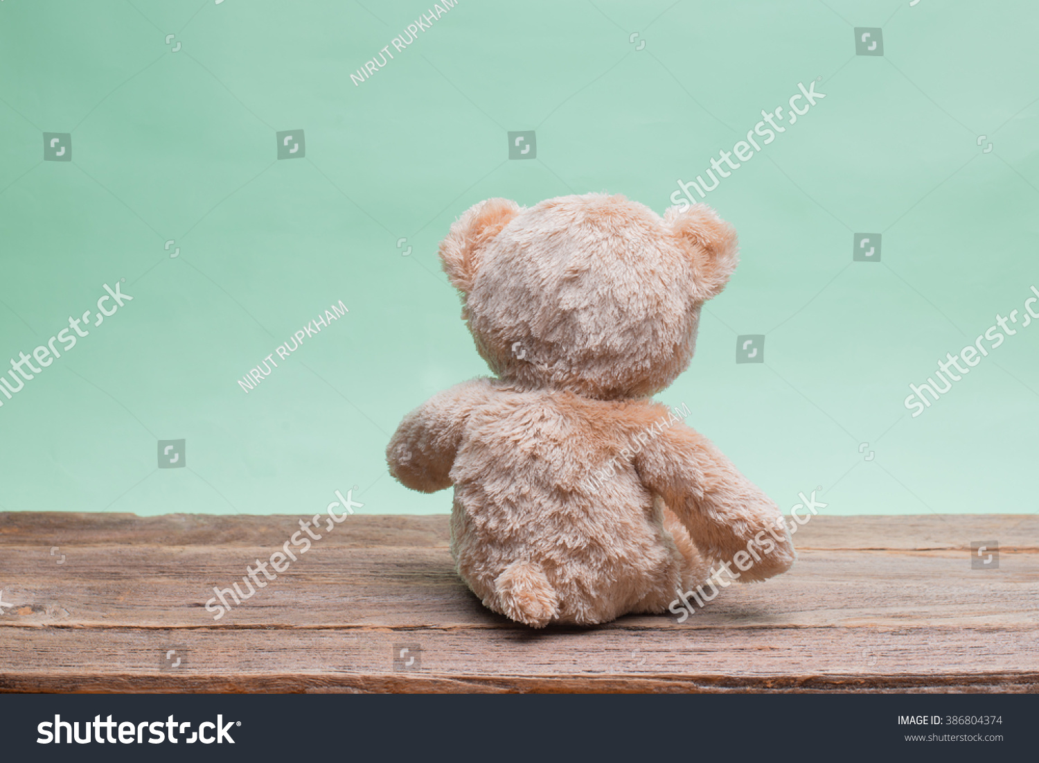 light green teddy bear