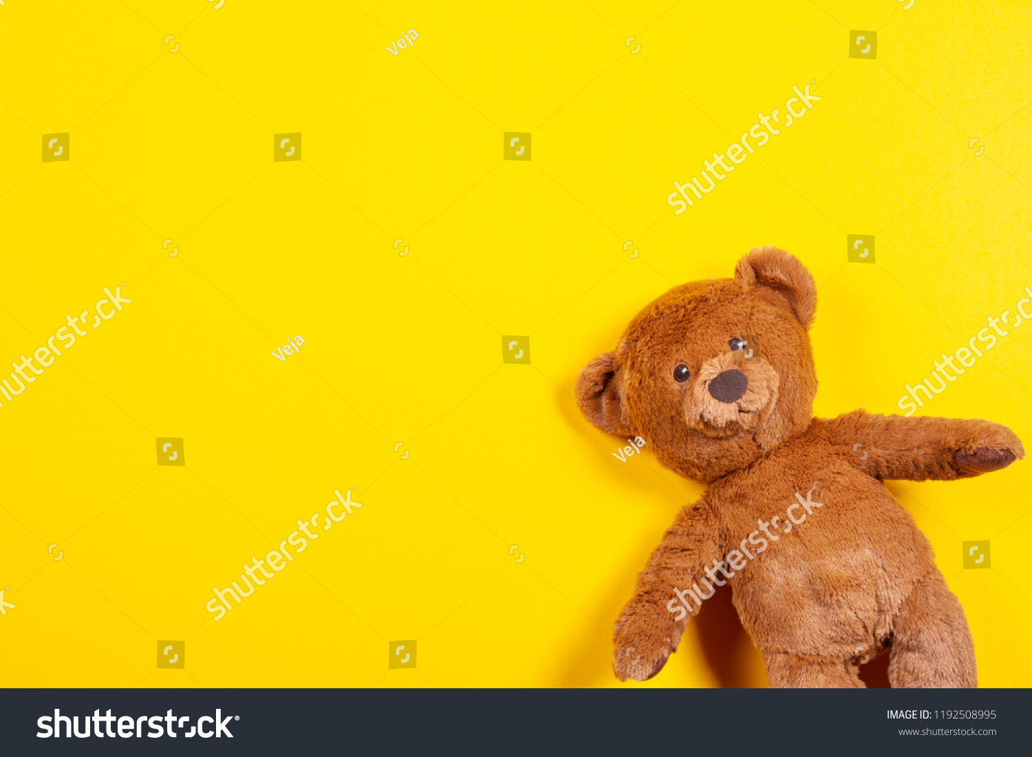 top teddy bear