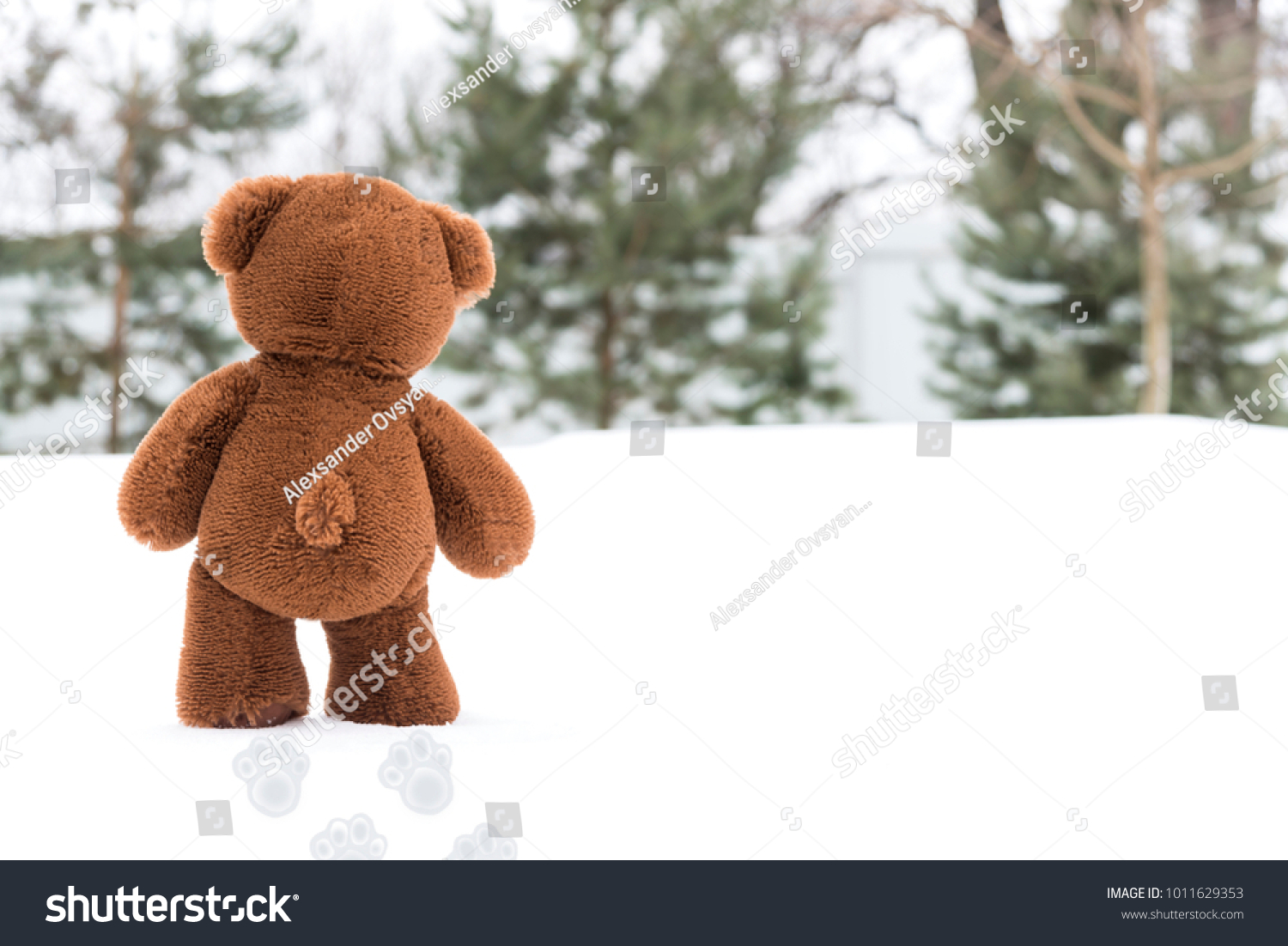 walking teddy