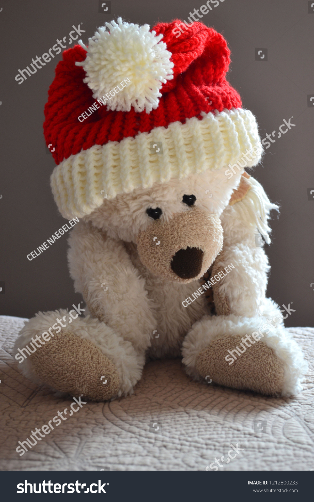 red teddy bear with cap