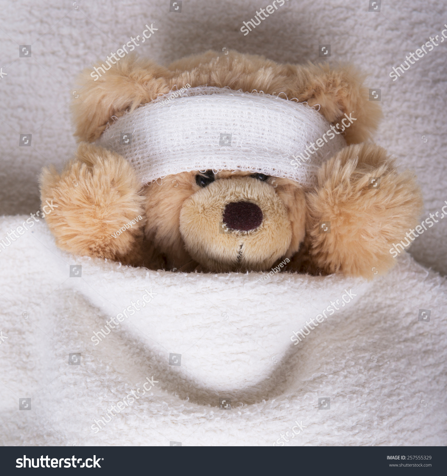 teddy bear with bandage on head