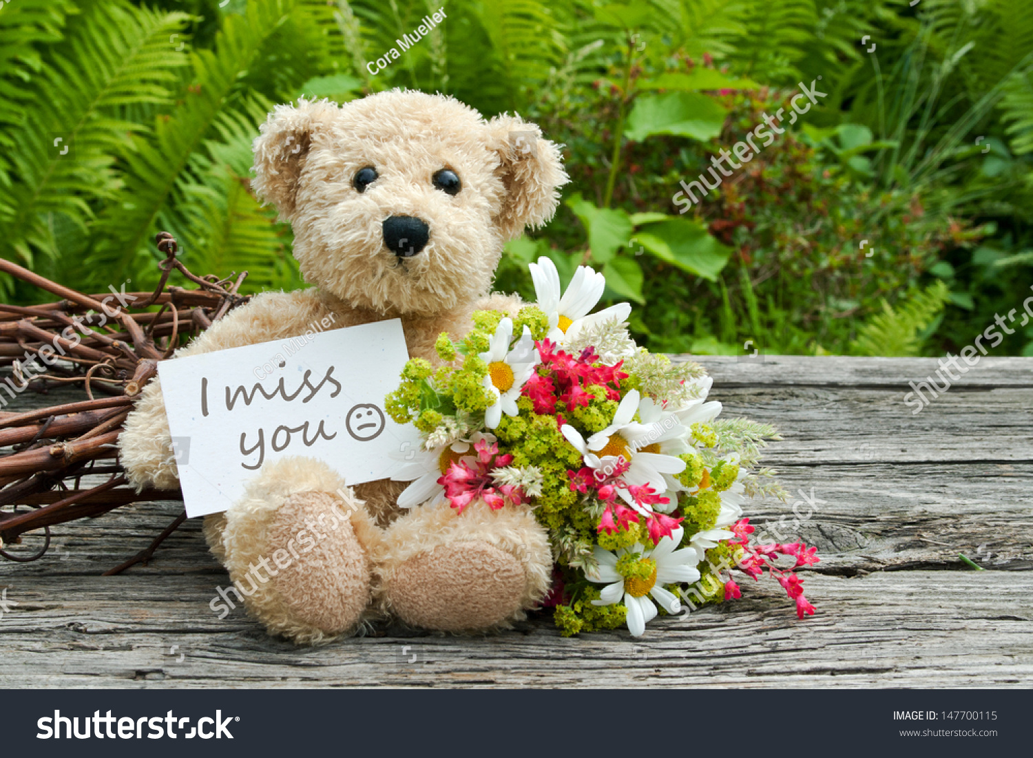 miss u teddy