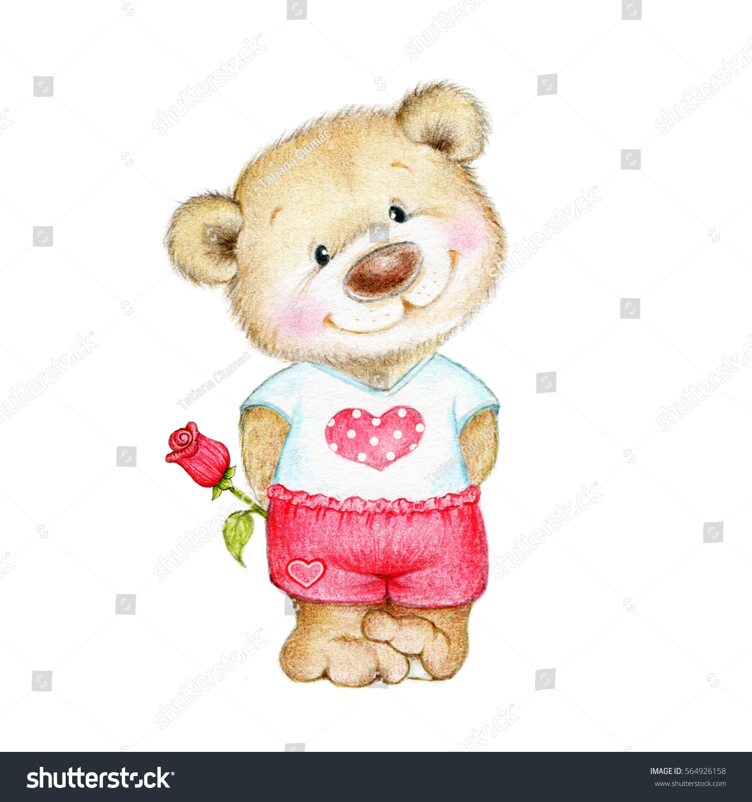 teddy bear holding a rose