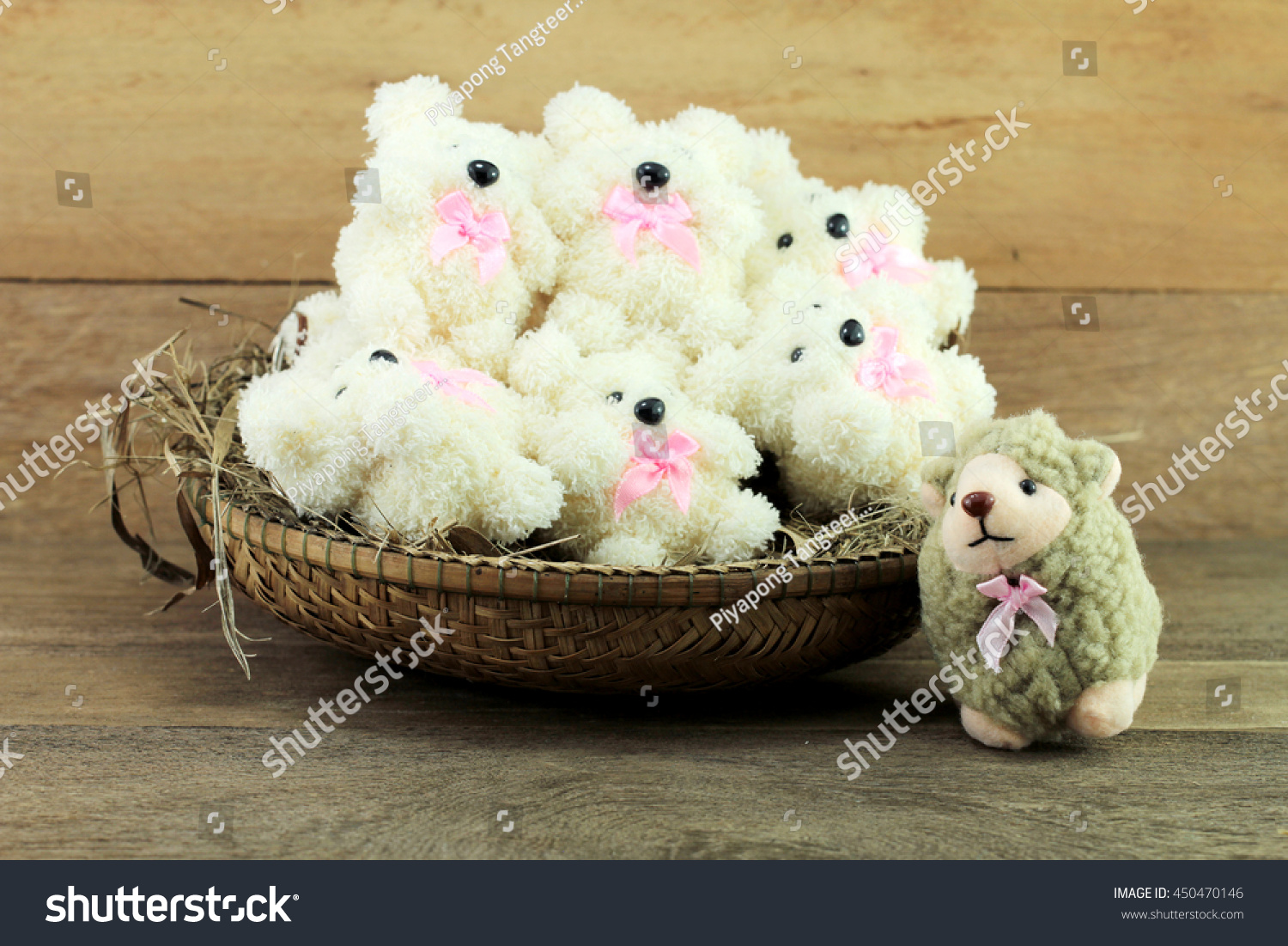 sheep that look like teddy bears