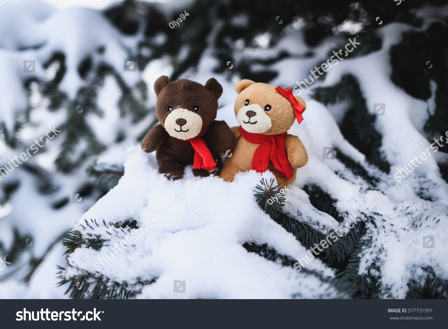 snow teddy bear