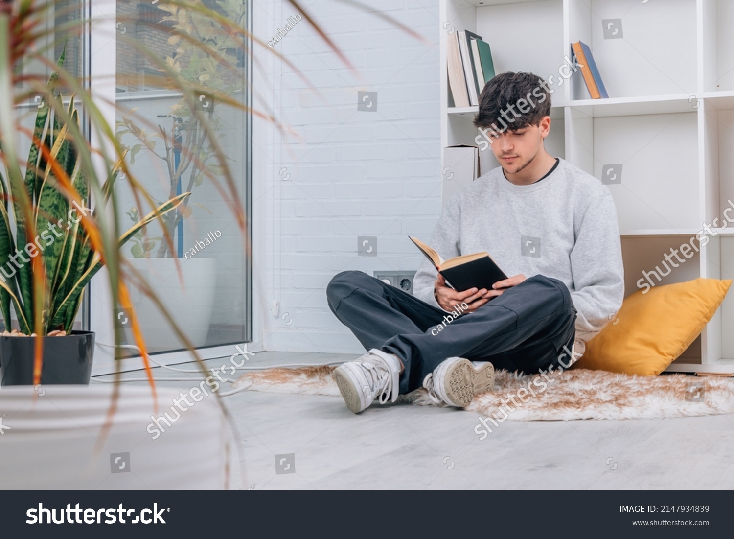 teenage-student-home-library-reading-book-stock-photo-2147934839-shutterstock