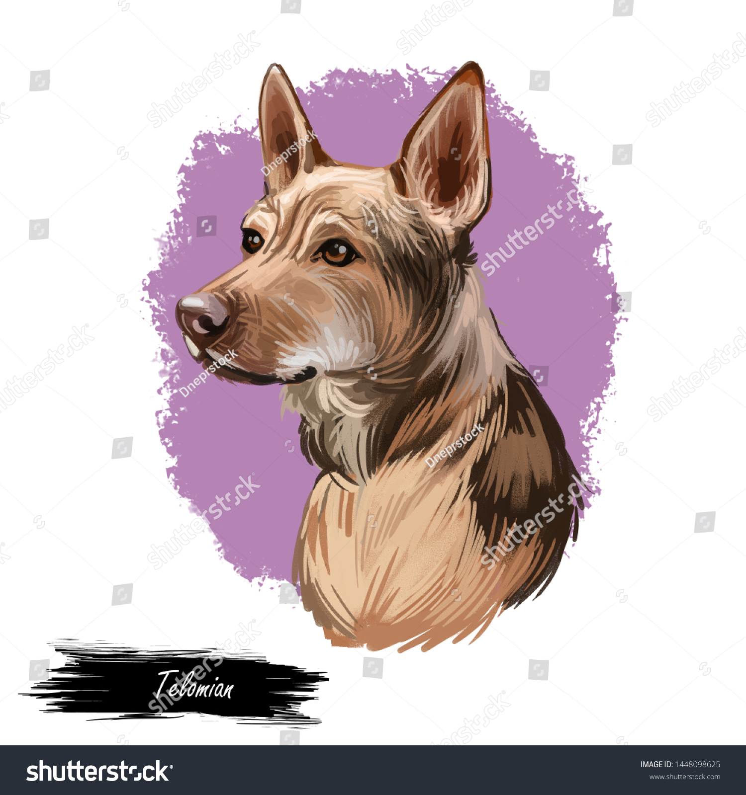 Telomian Breed Dog Native Malaysia Anjing Stock Illustration 1448098625
