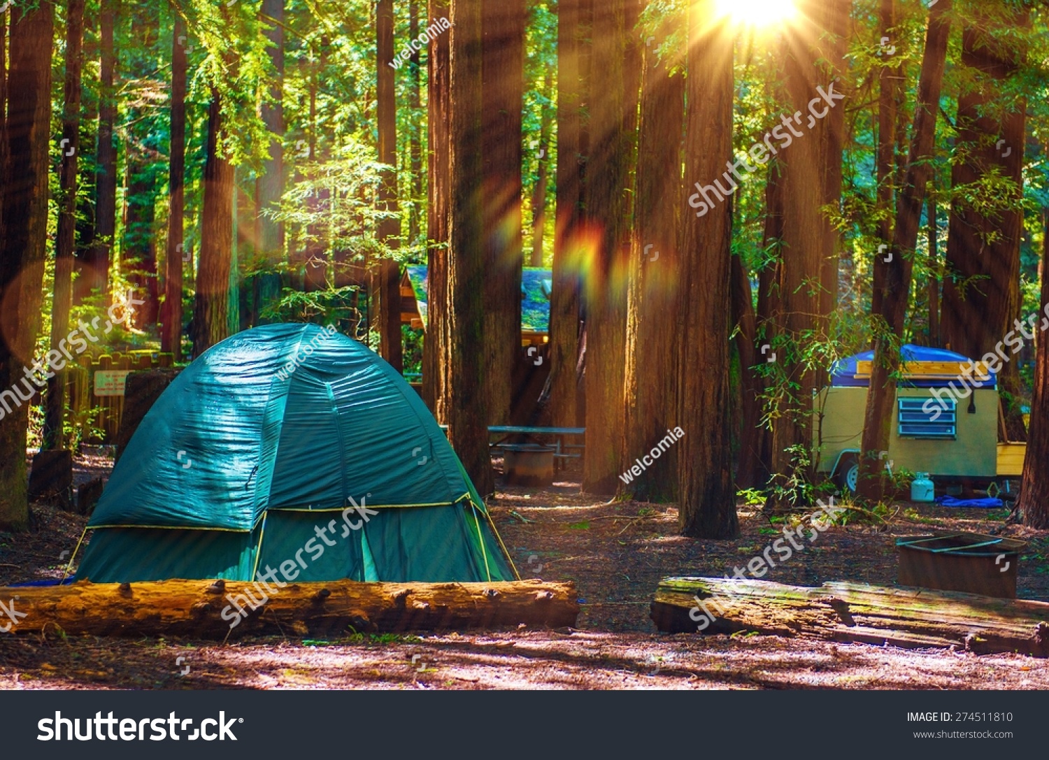 Tent Camping Redwood National Park California Stock Photo Edit Now 274511810