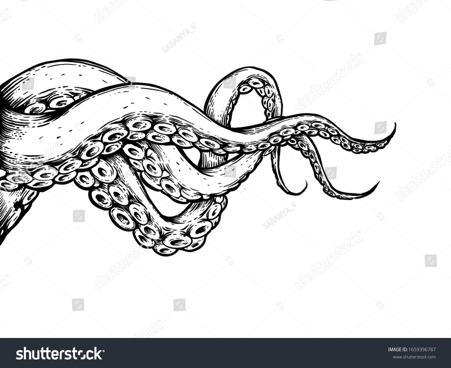 Tentacles Hand Draw On White Background Stock Illustration 1659396787 ...