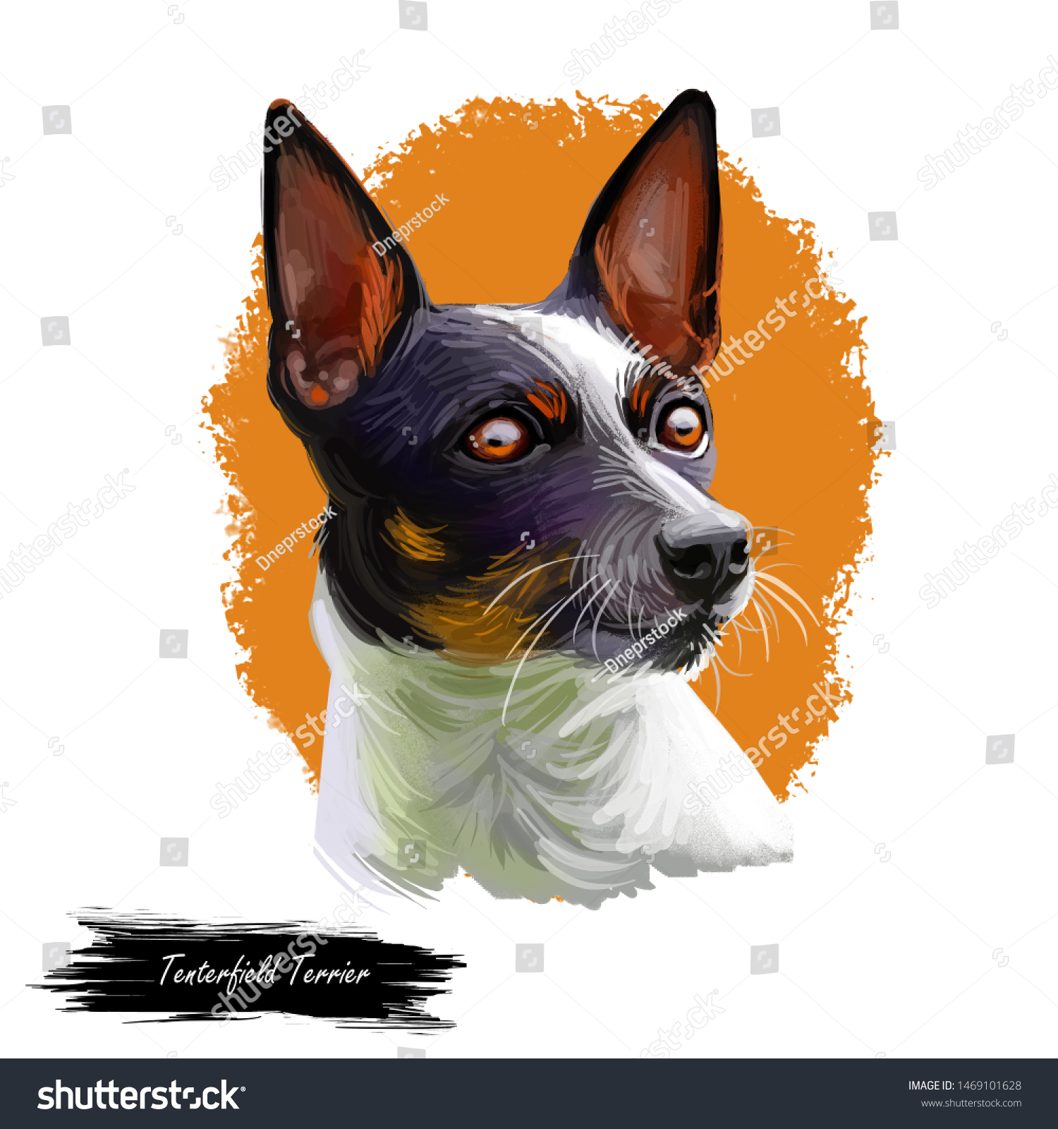 Tenterfield Terrier Dog Portrait Isolated On Stock Illustration 1469101628