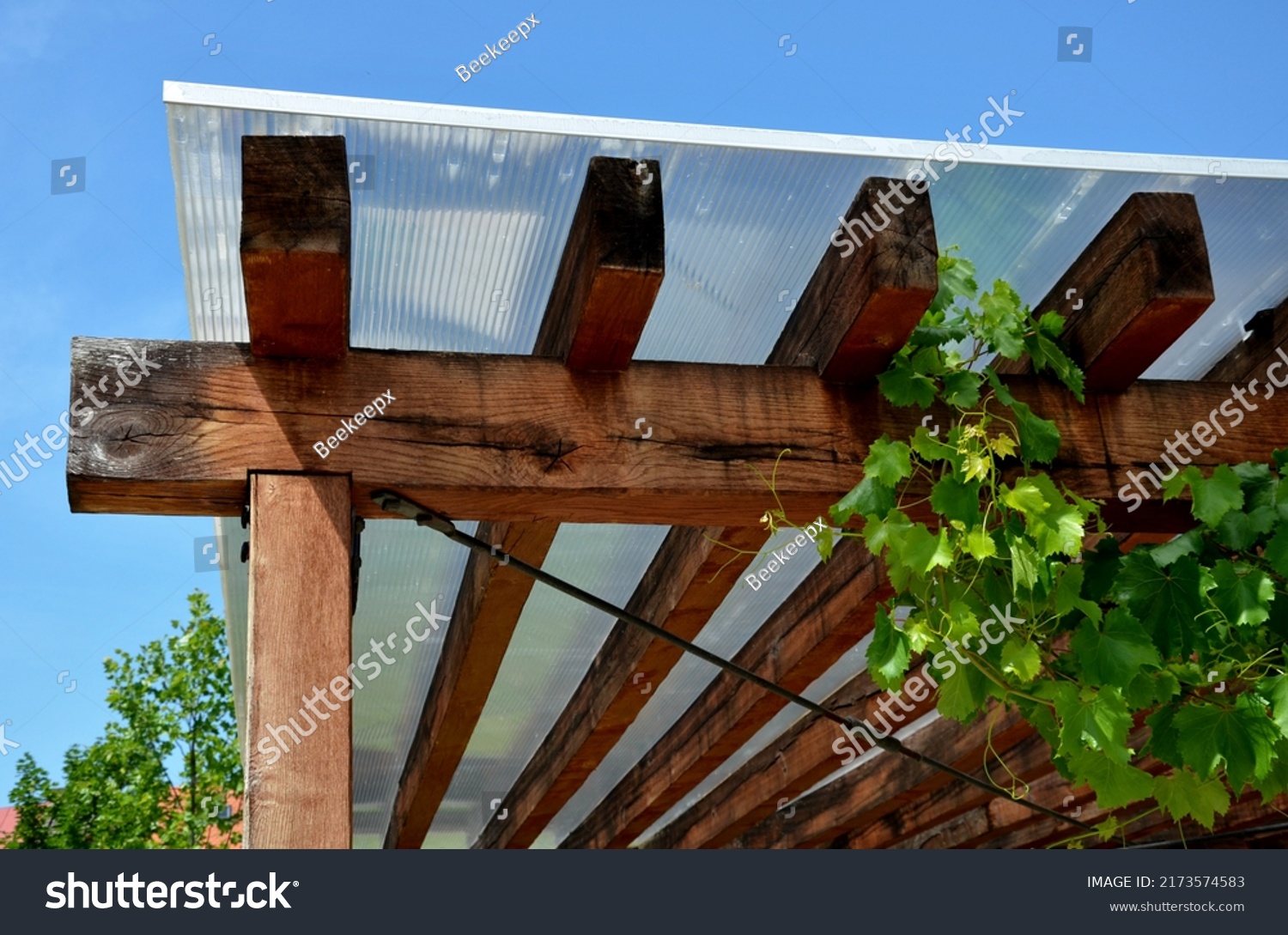 Terrace Wooden Pergola Plexiglass Roof Vines Stock Photo 2173574583