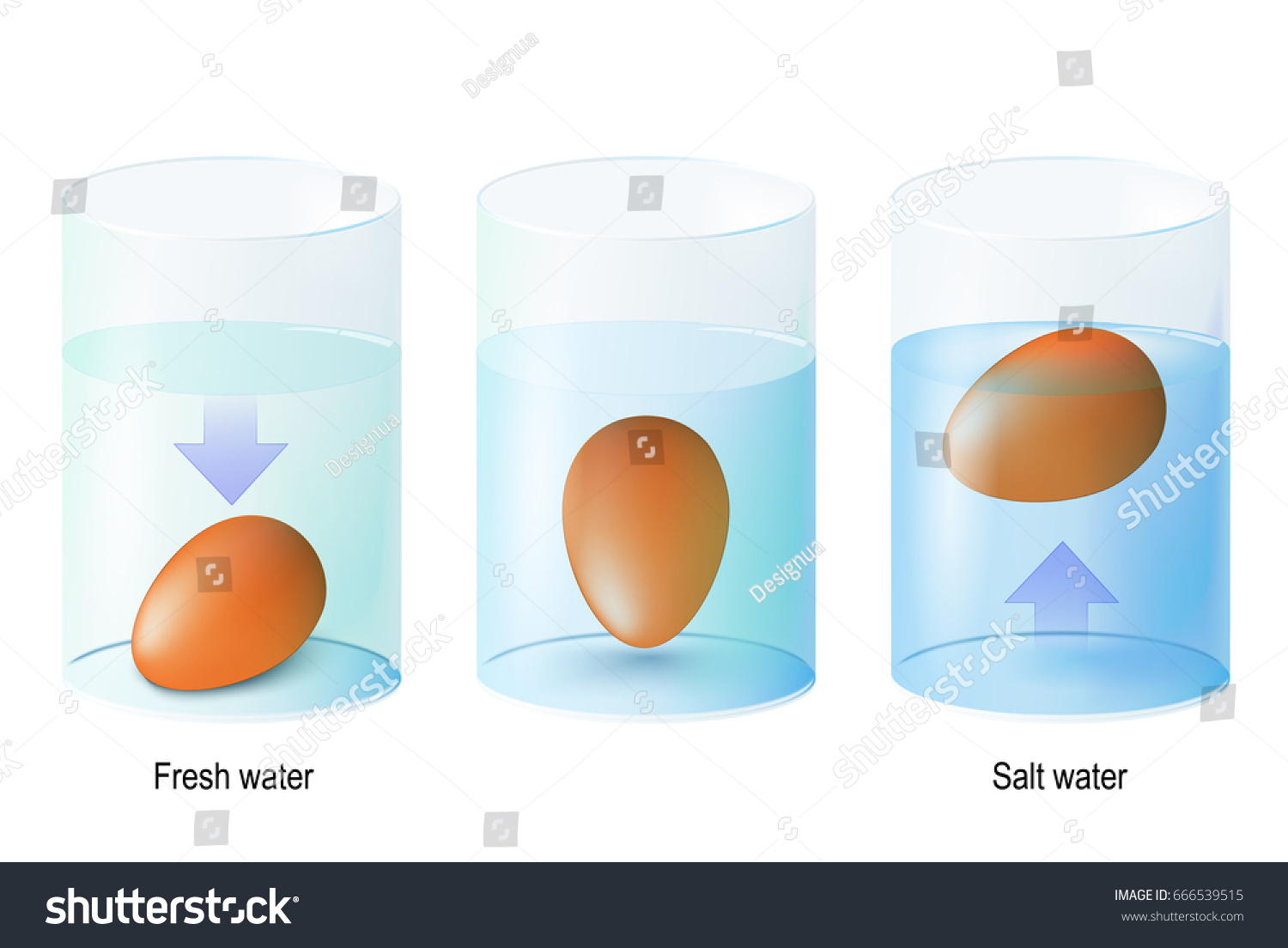 Test eggs for freshness by floating