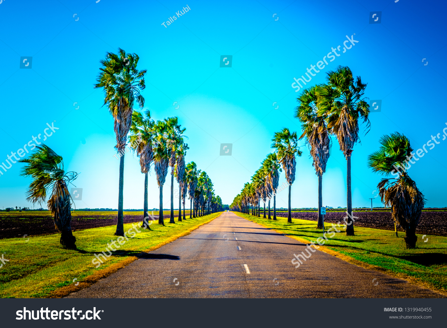 5 2 Rio Grande Valley Images Stock Photos Vectors Shutterstock