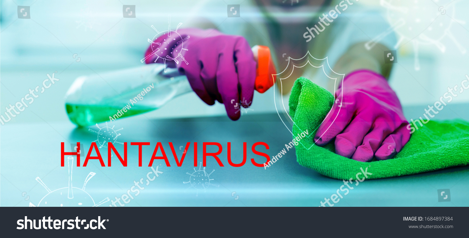 Text Hantavirus Emergency Concept Hanta Virus Stock Photo Edit Now