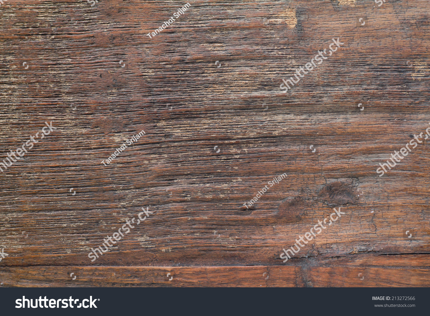Texture bark wood use natural background stock photo Texture bark wood use natural background stock photo
