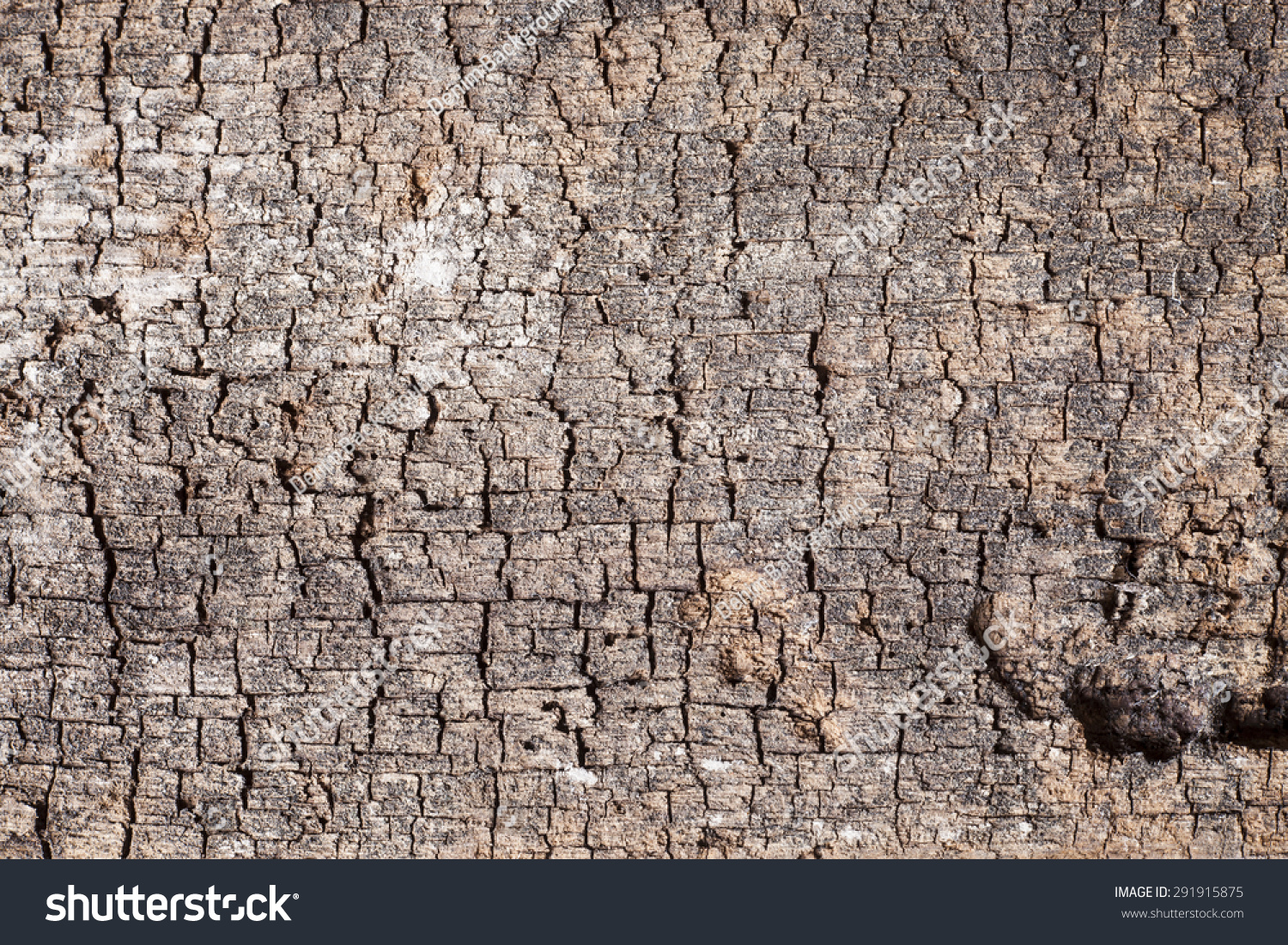 Texture Old Wood Background Stock Photo 291915875 - Shutterstock