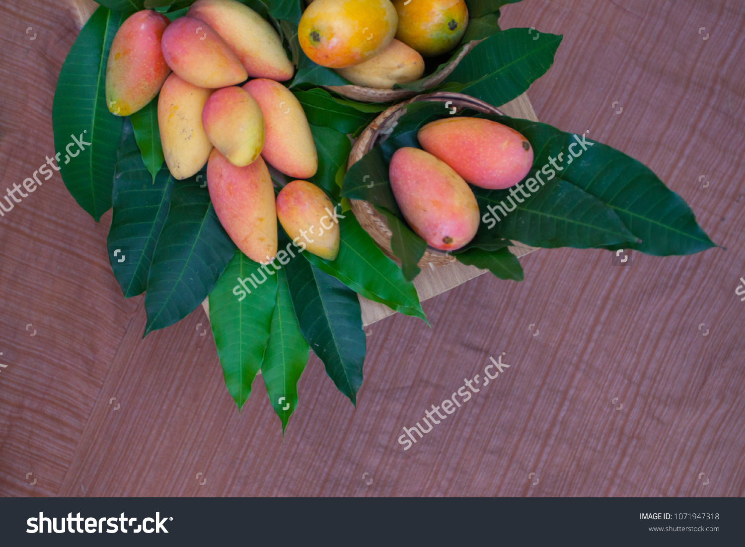 11 Zillate Mangoes Images Stock Photos And Vectors Shutterstock