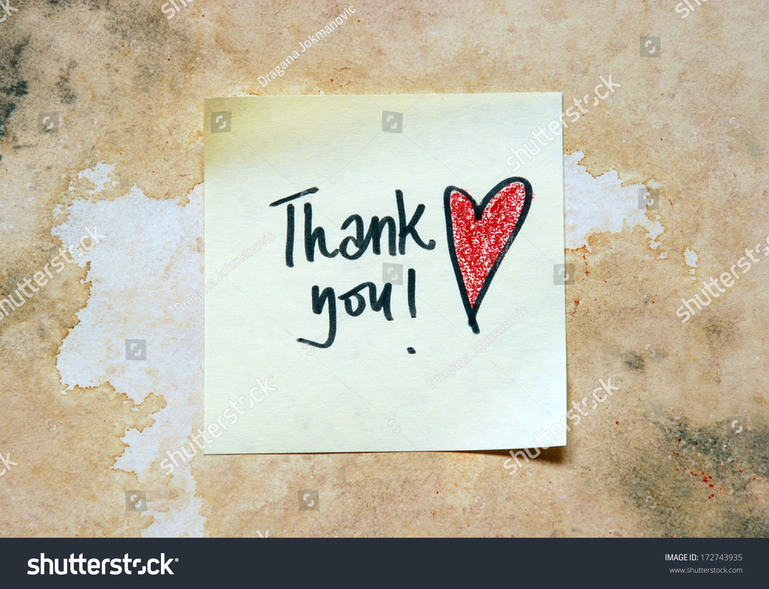 Thank you note for stock options