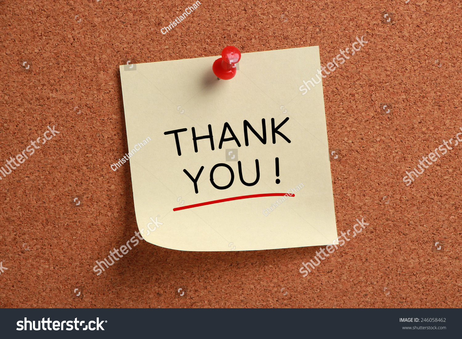 Thank You Sticky Note Pinned On Stock Photo 246058462 | Shutterstock