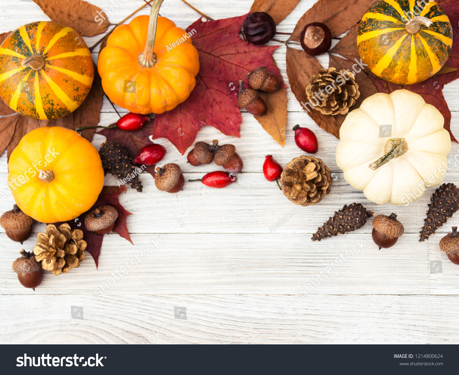 Gifts day Thanksgiving pictures catalog photo Gifts day Thanksgiving pictures exclusive photo