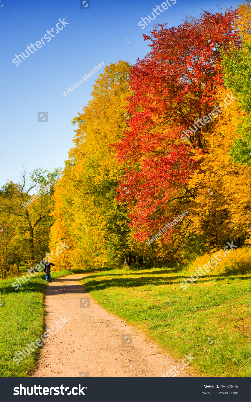 The Autumn Landscape With Yellow, Red And Green Trees Stock Photo ...