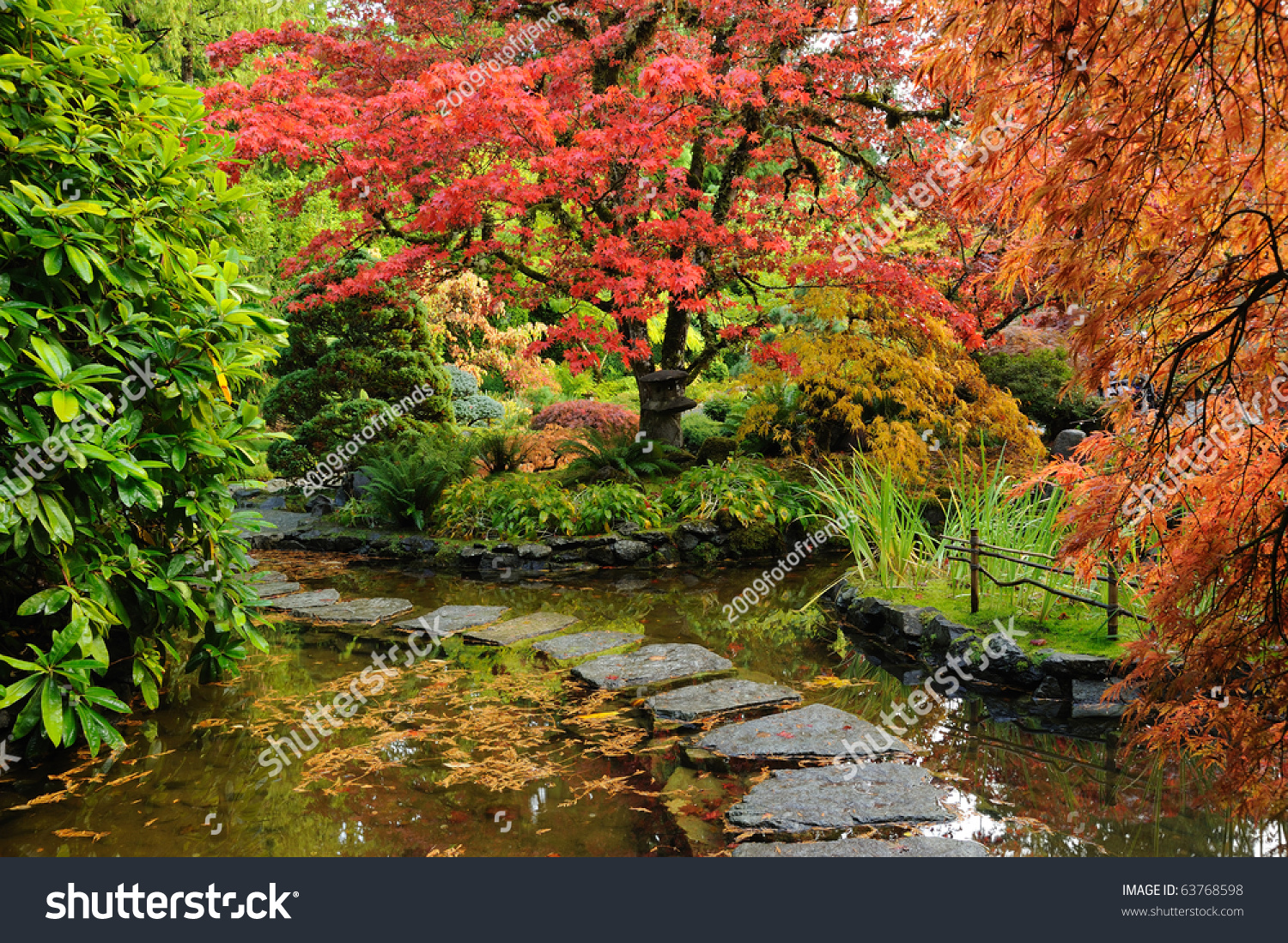 Autumnal Japanese Garden Victoria Vancouver Island Stock Photo 63768598 ...