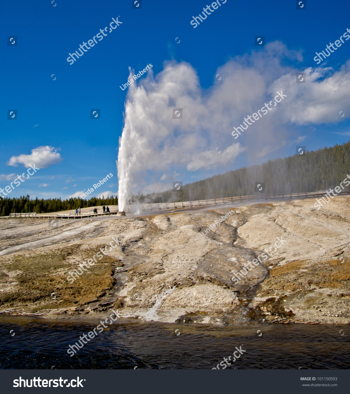 Beehive Geyser Named 4foot High Cone Stock Photo 101150593 | Shutterstock