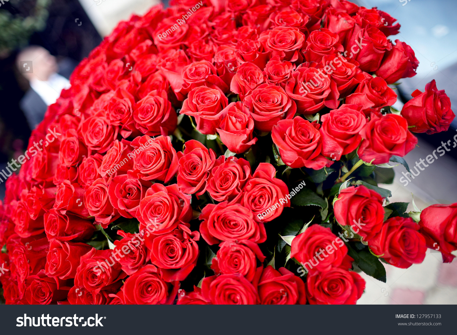 The Big Bouquet Of Red Roses Stock Photo 127957133 : Shutterstock