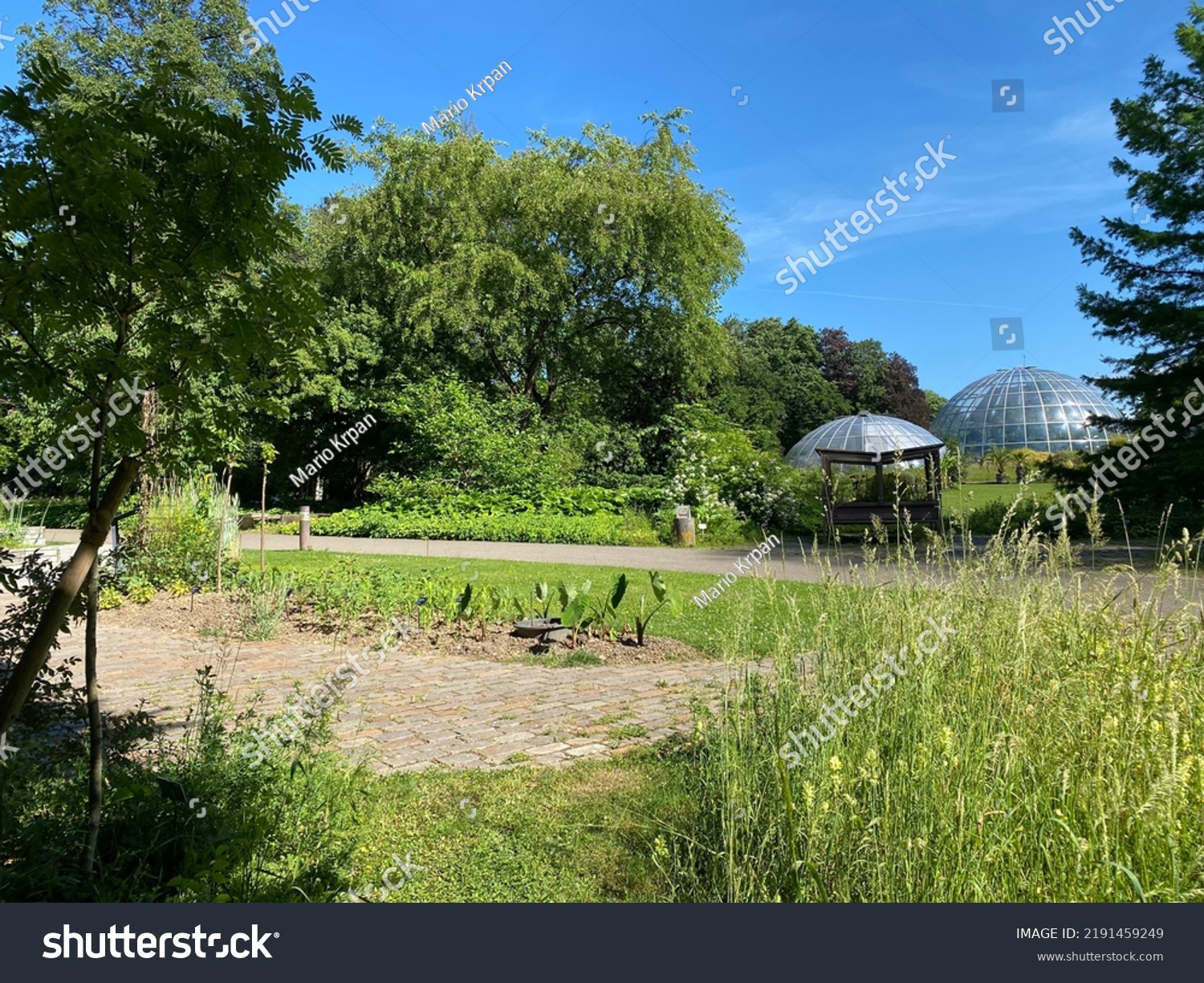 1,877 Botanische Images, Stock Photos & Vectors Shutterstock