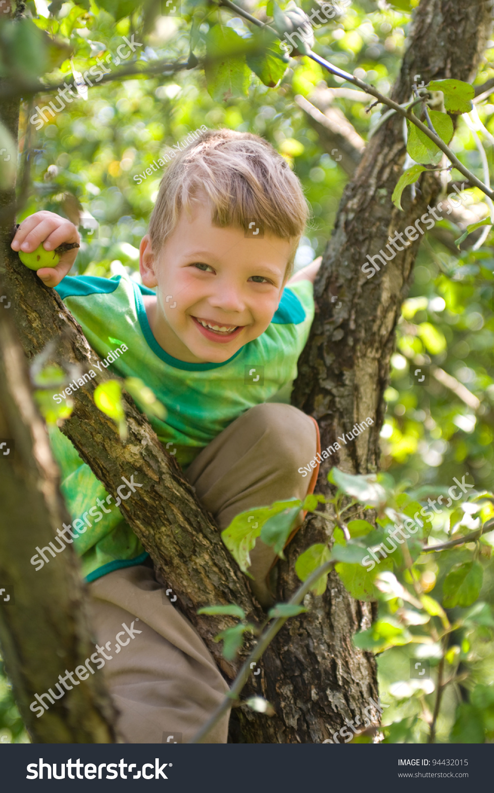 The Boy Climbed Up A Tree Stock Photo 94432015 : Shutterstock