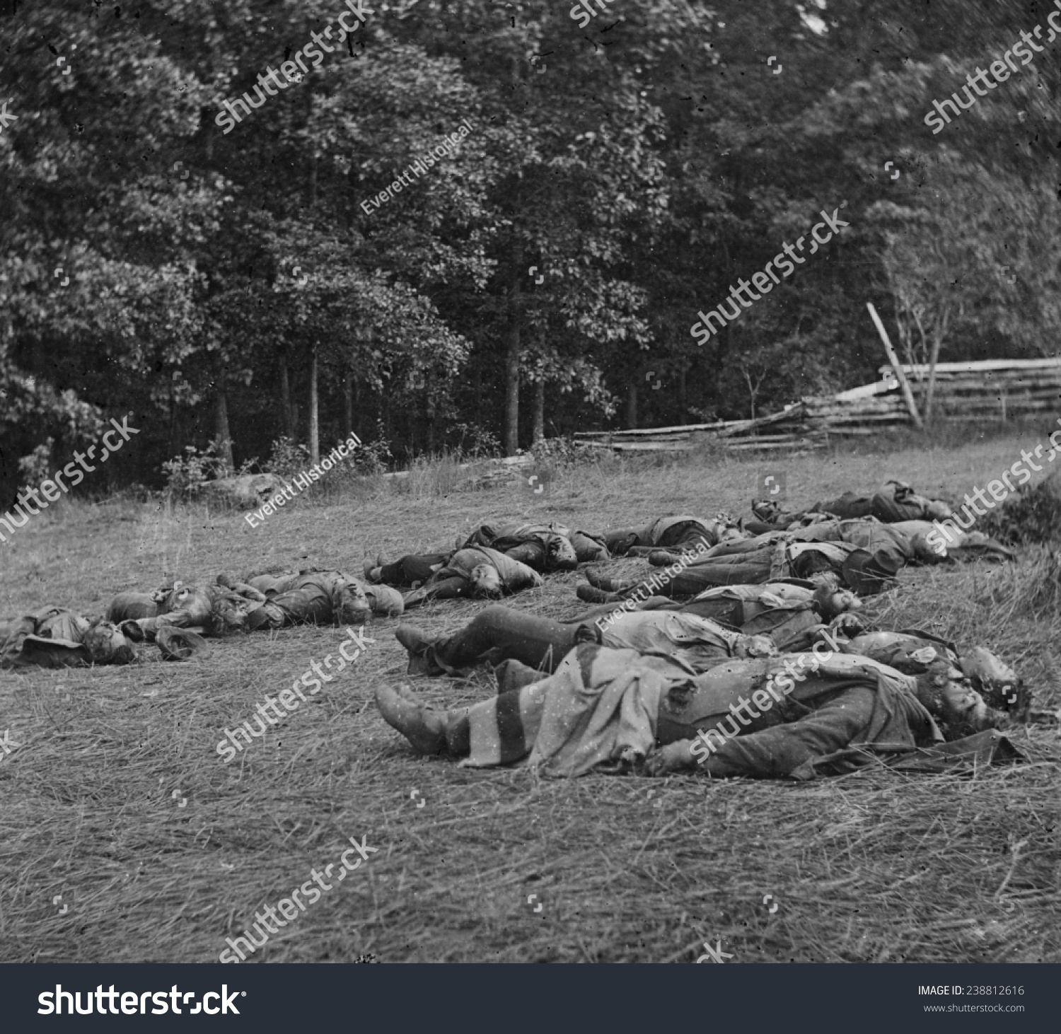 The Civil War. The Battle Of Gettysburg. Confederate Dead Gathered For ...