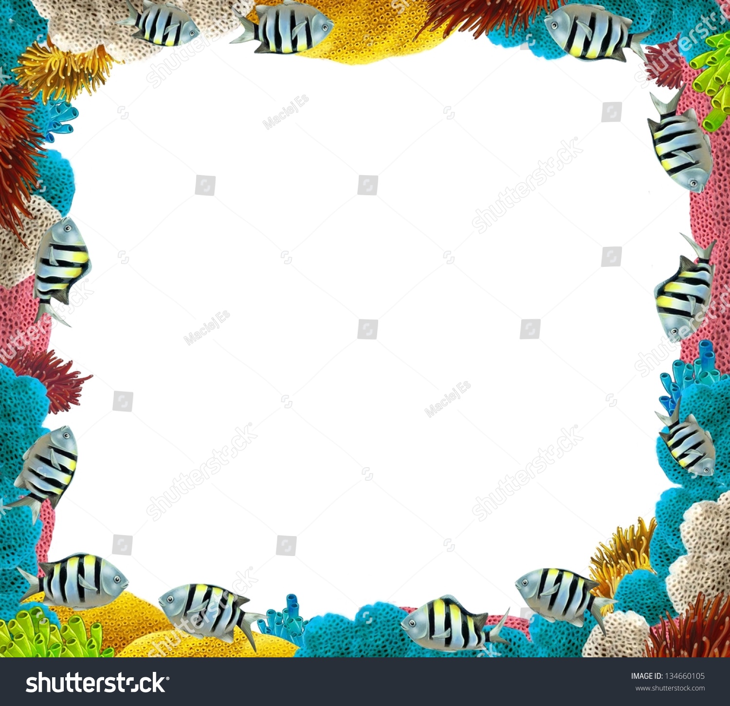 Coral Reef Frame Border Illustration Children Stock Illustration ...