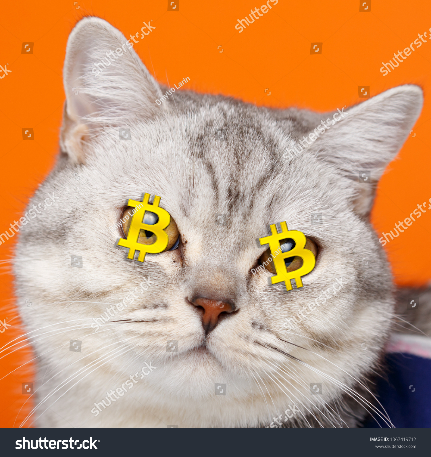 fektessen be online bitcoinokat
