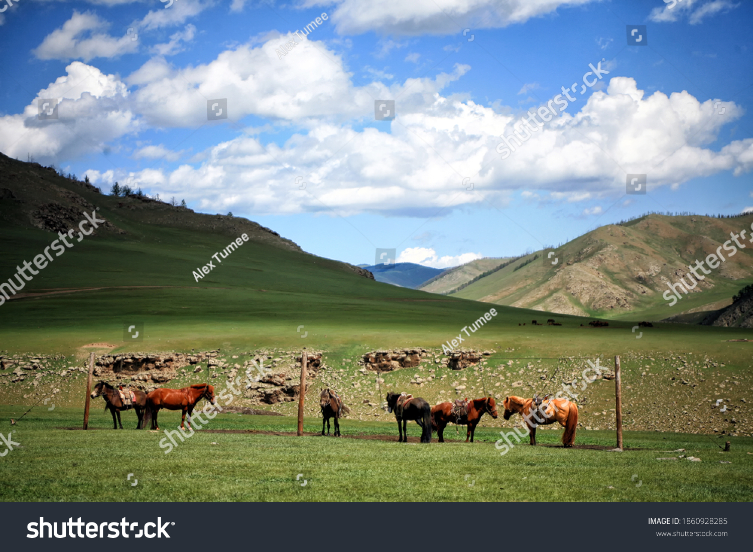 Eastern Mongolian Steppes Home Largest Remaining Stock Photo 1860928285