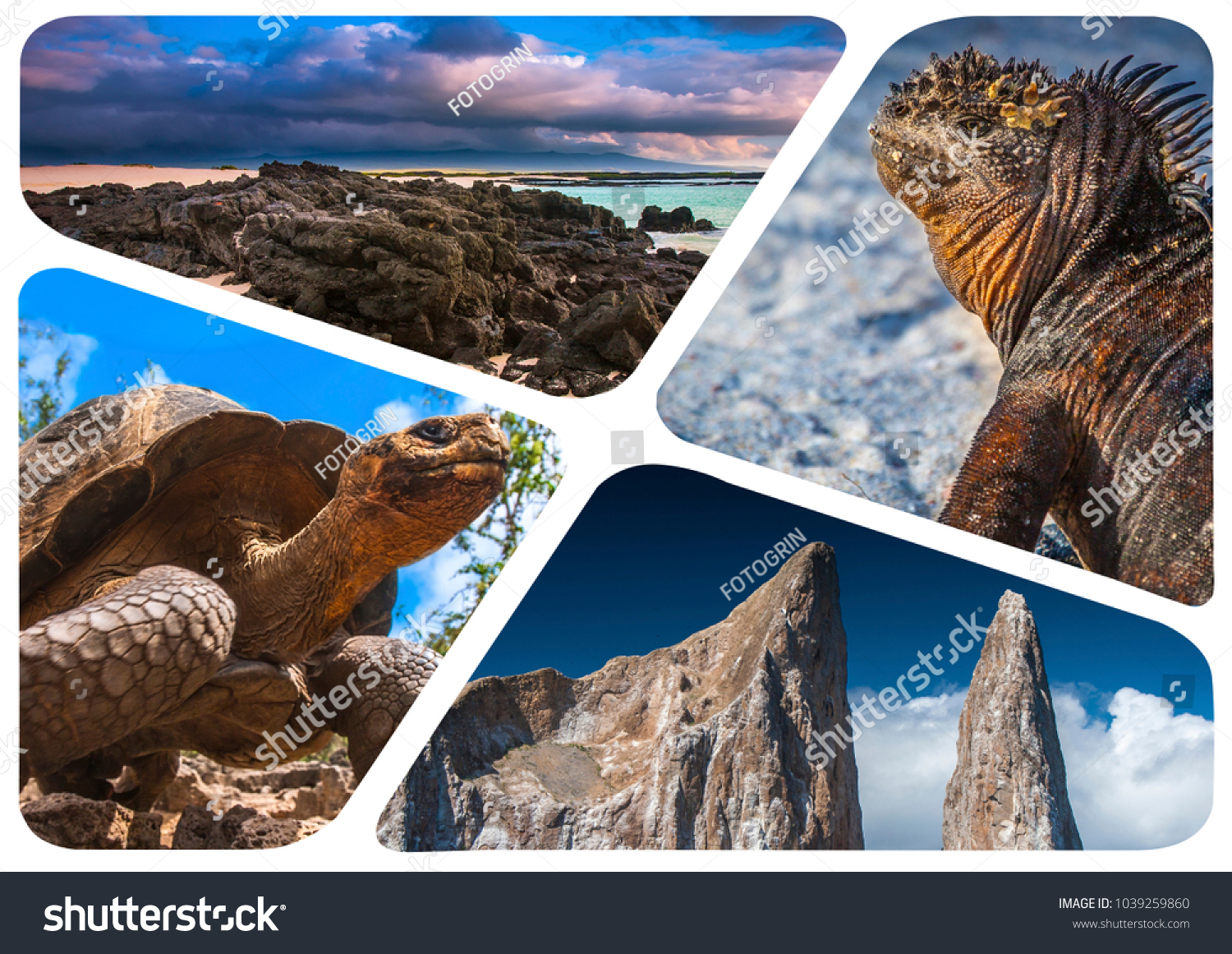 Journey to the Galapagos Islands Journey to the Galapagos Islands
